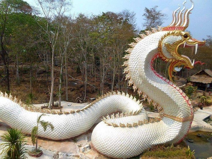 tuong-xop-con-ran (2)