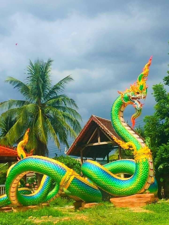 tuong-xop-con-ran (4)