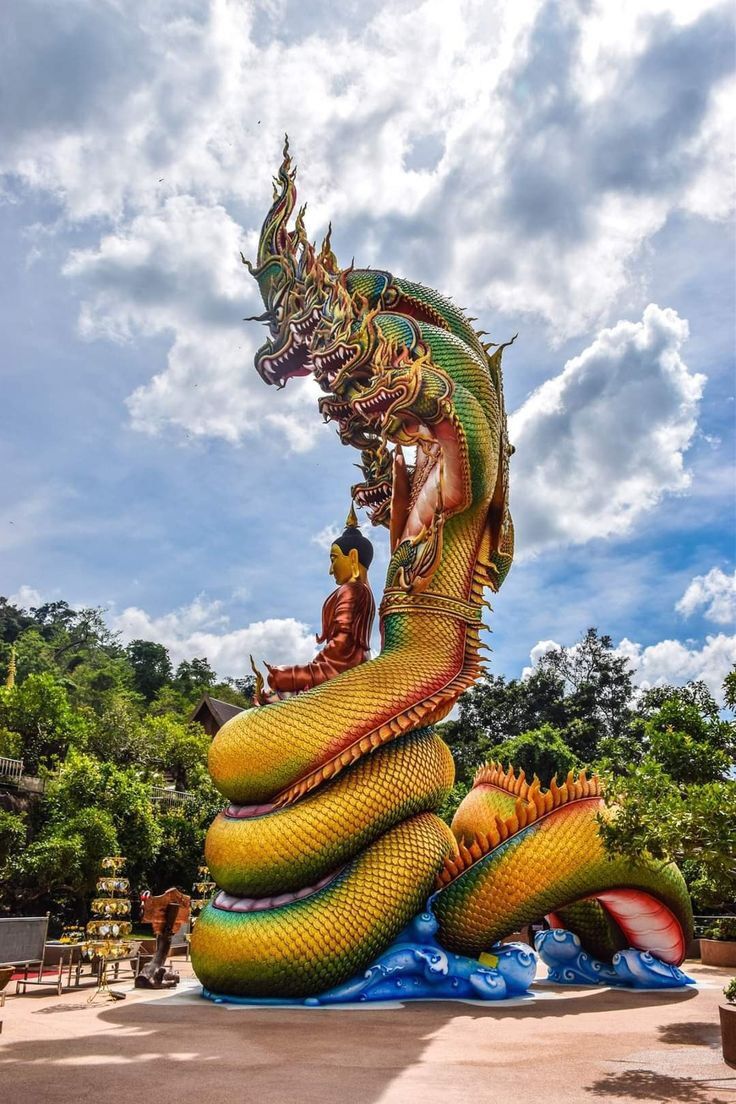 tuong-xop-con-ran (5)