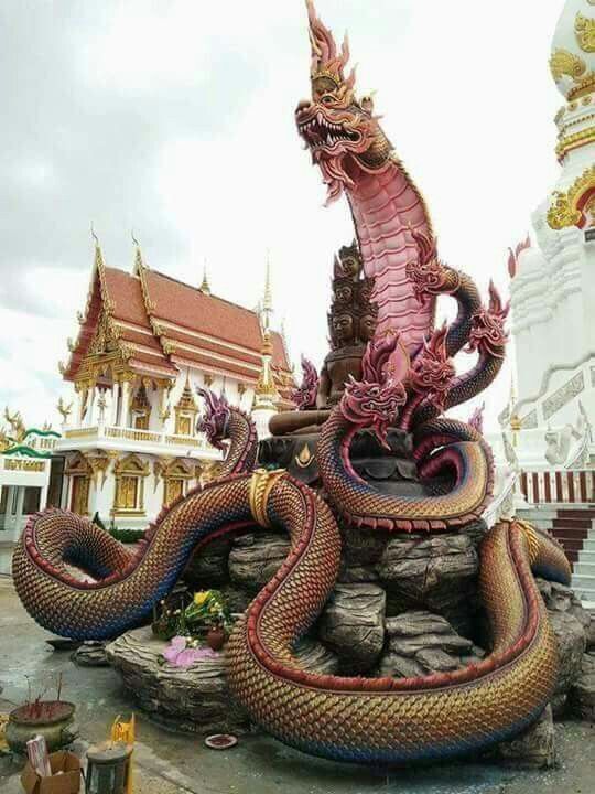 tuong-xop-con-ran (7)