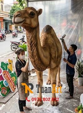 ve-mau-mo-hinh-lac-da-bang-xop mô hình Lạc Đà bằng xốp